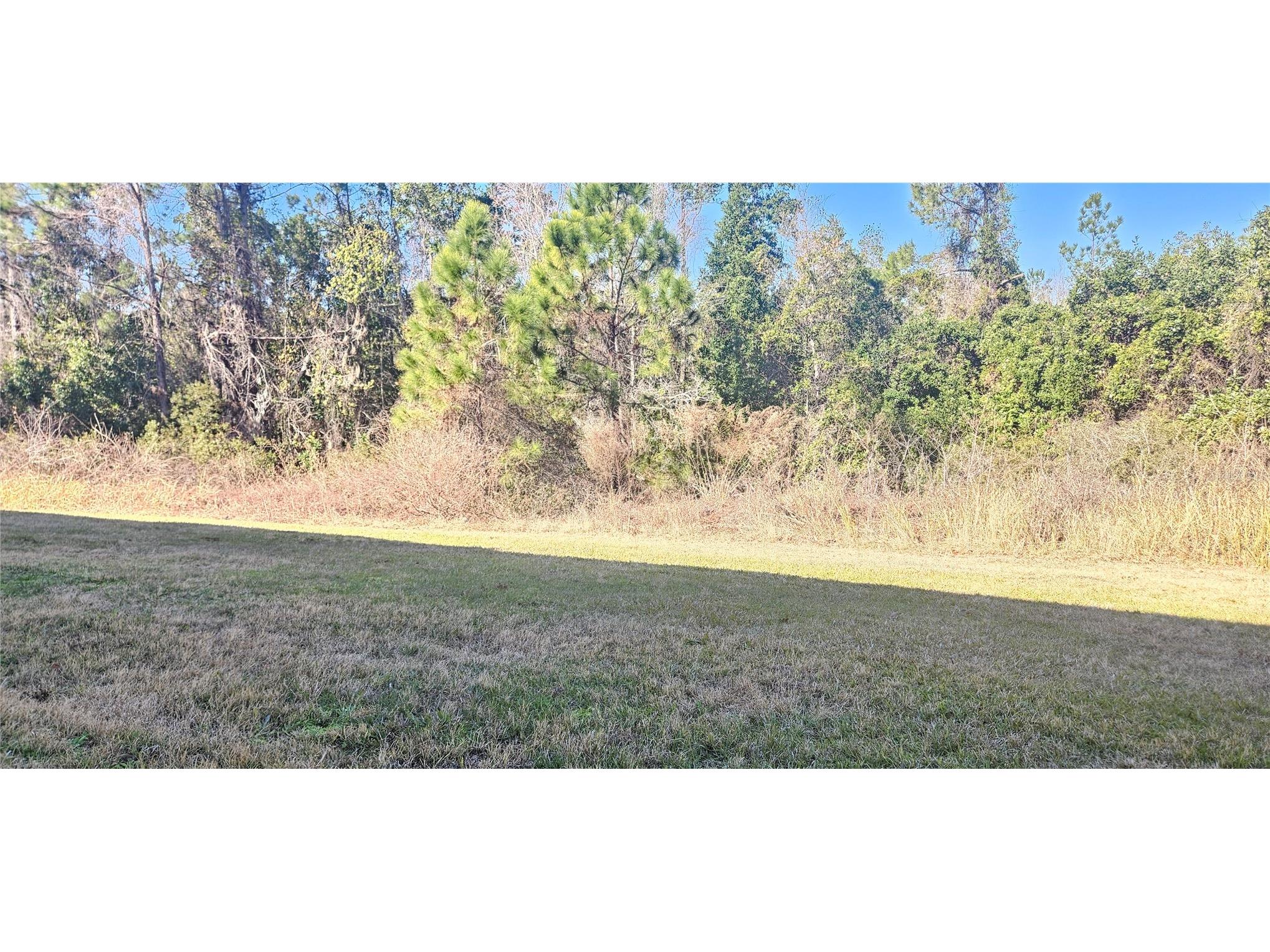 667 Bay Leaf Drive Kissimmee FL 34759 O6380636 image13