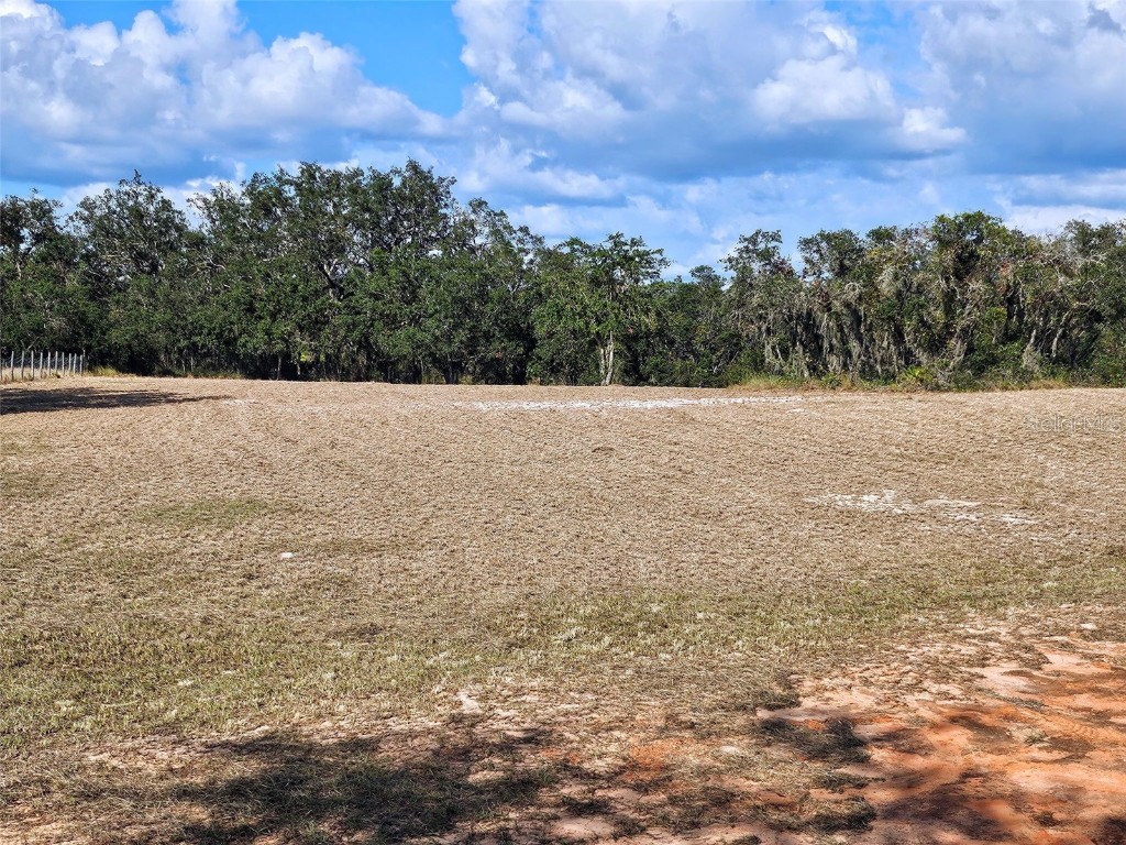 667 Fazzini Road Babson Park FL 33827 P4936643 image5