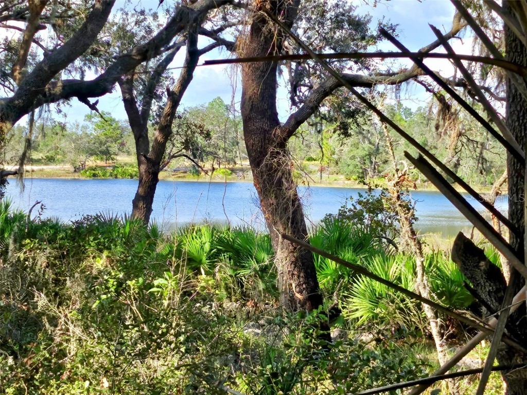 667 Fazzini Road Babson Park FL 33827 P4936643 image7