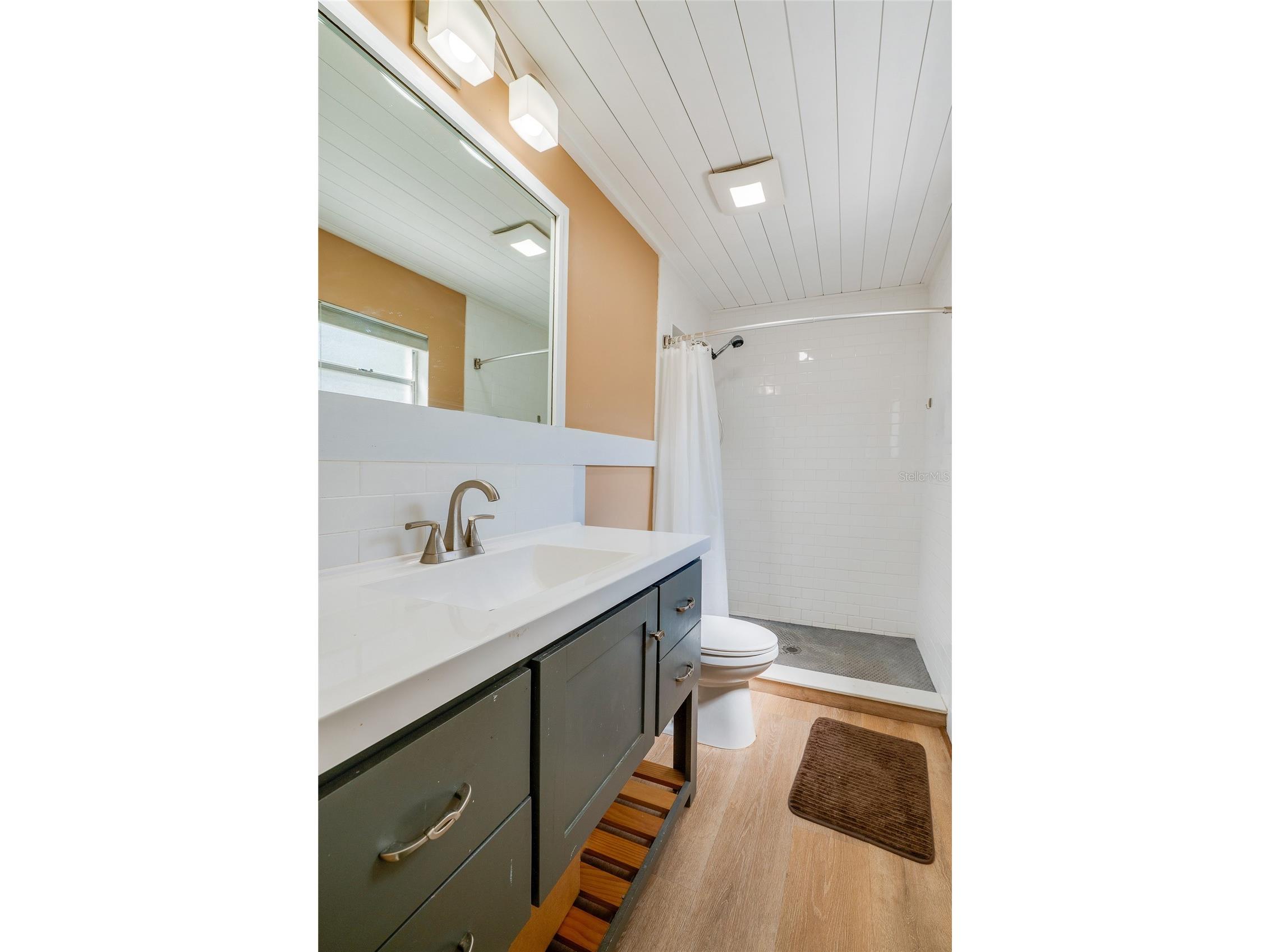 667 George Miller Circle Port Orange FL 32127 V4948846 image17