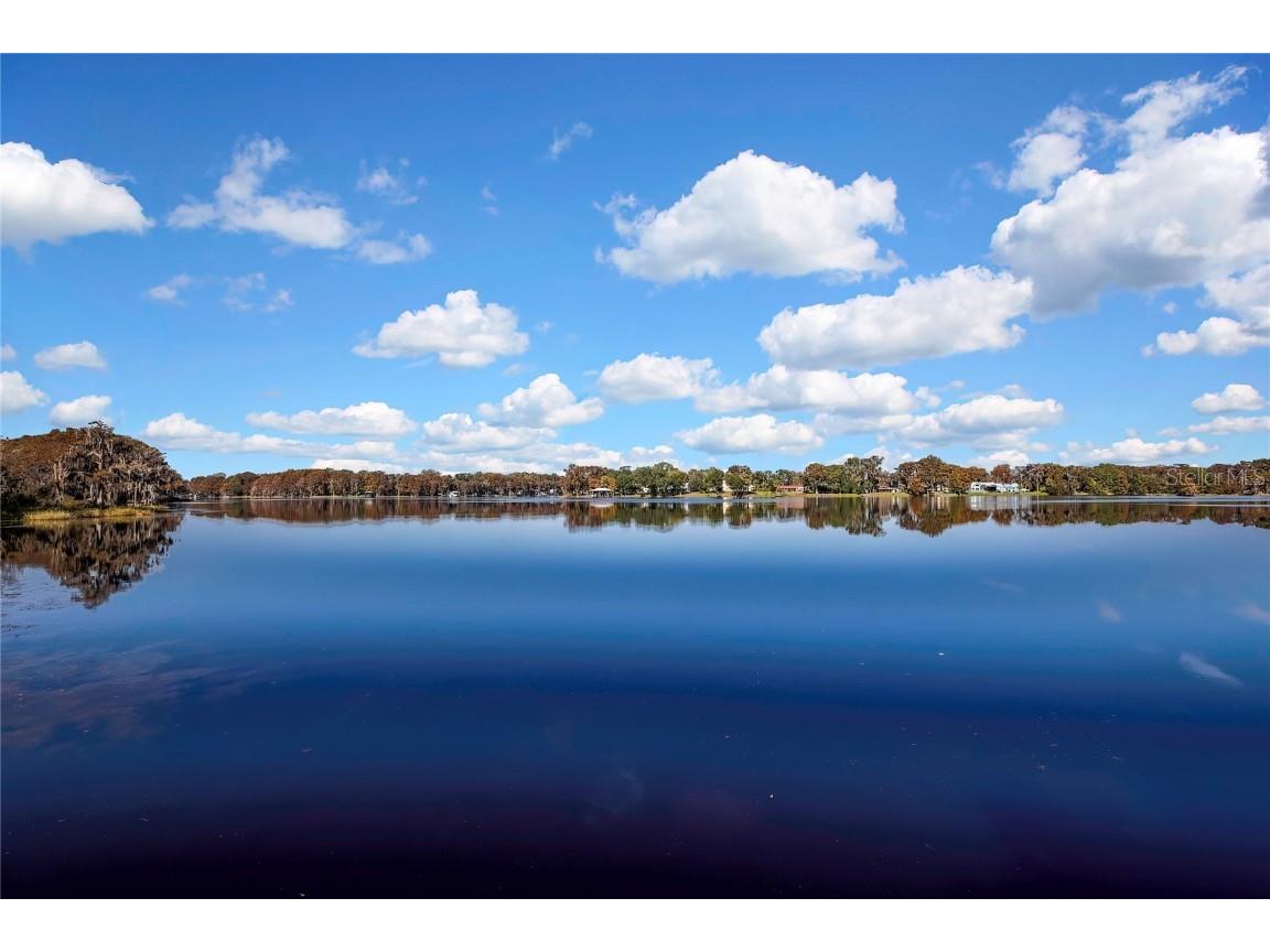 6670 S Merleing Loop Floral City FL 34436 - LAKE TSALA APOPKA W7881054 image1