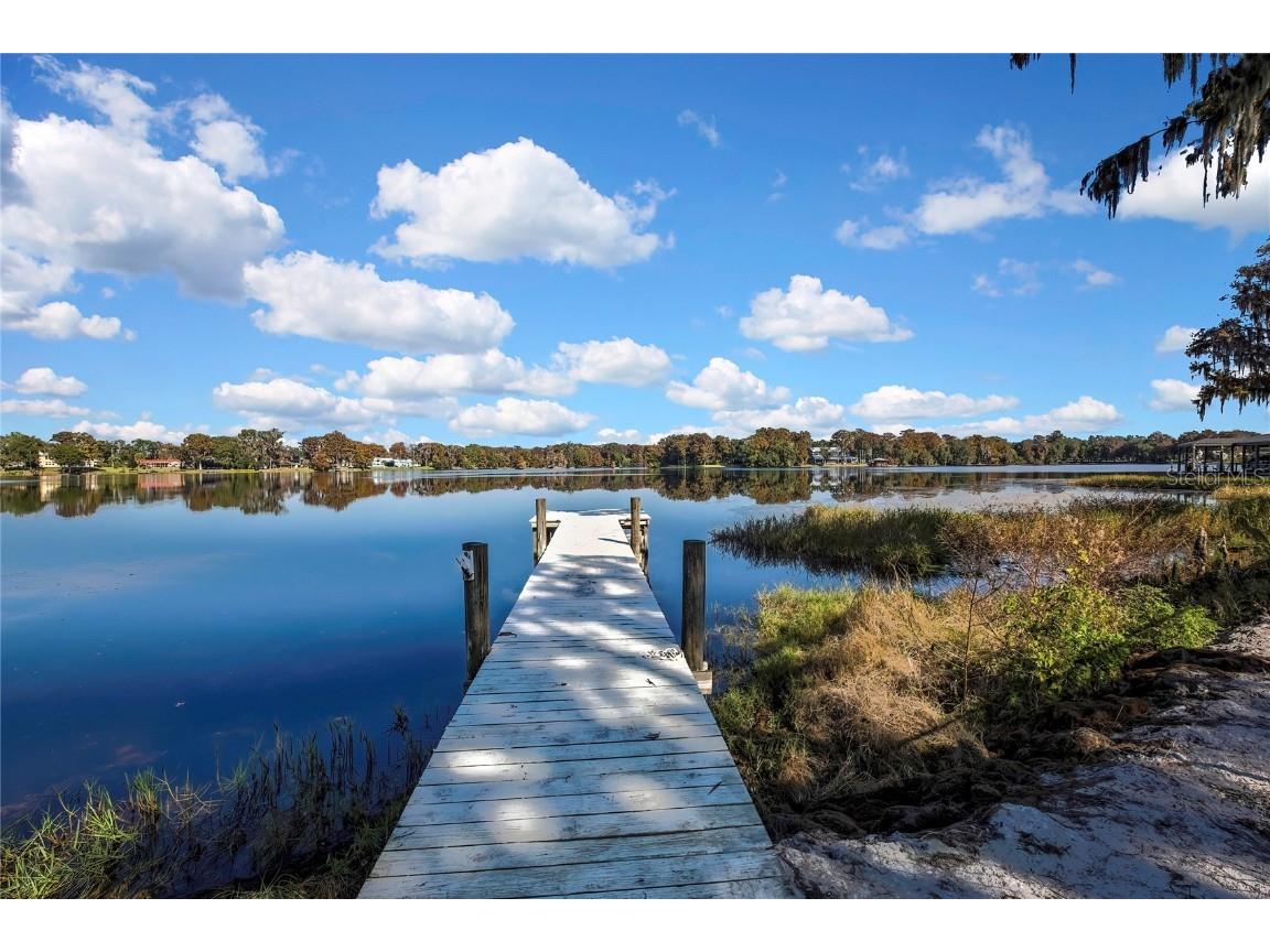 6670 S Merleing Loop Floral City FL 34436 - LAKE TSALA APOPKA W7881054 image2