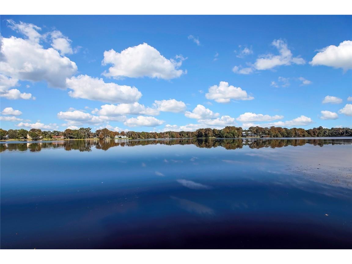 6670 S Merleing Loop Floral City FL 34436 - LAKE TSALA APOPKA W7881054 image45