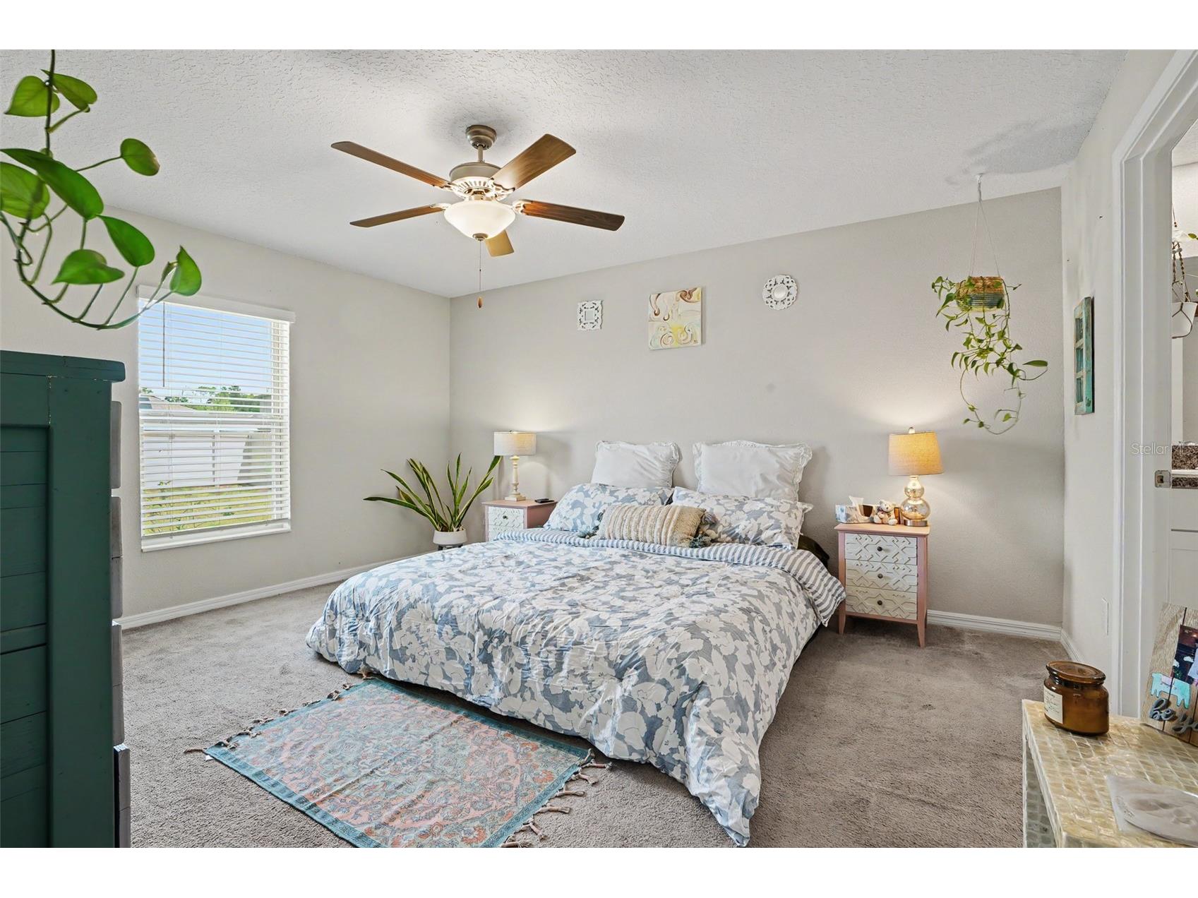 6671 Mineral Springs Road New Port Richey FL 34653 TB8496947 image23