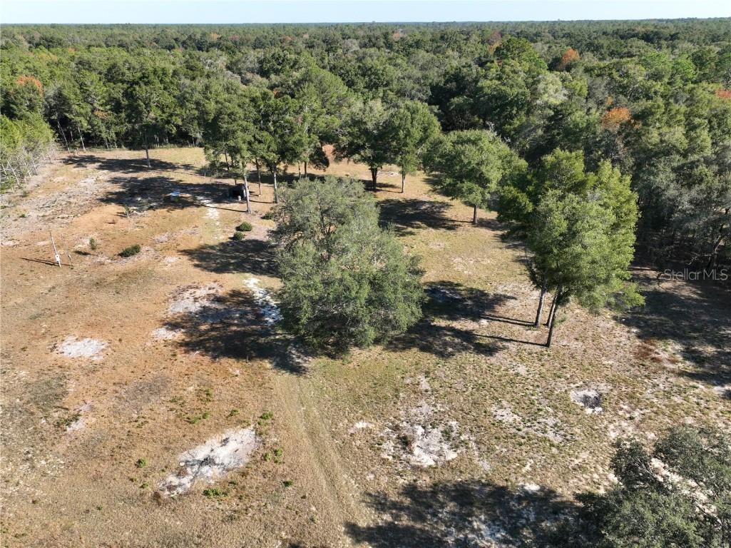 6671 NE 131st Avenue Williston FL 32696 OM706158 image11