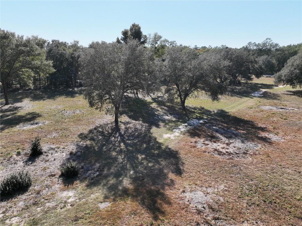 6671 NE 131st Avenue Williston FL 32696 OM706158 image13