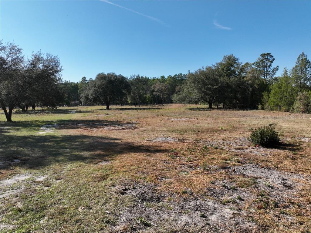 6671 NE 131st Avenue Williston FL 32696 OM706158 image8