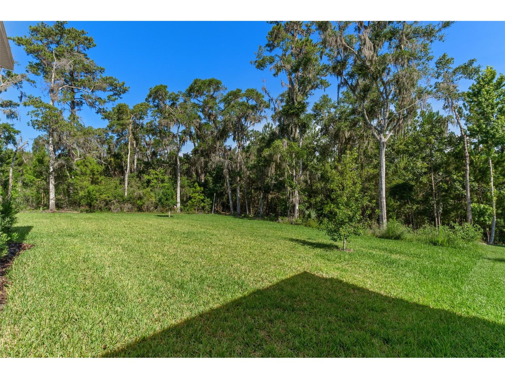 6671 Summit View Drive Brooksville FL 34601 W7886979 image51