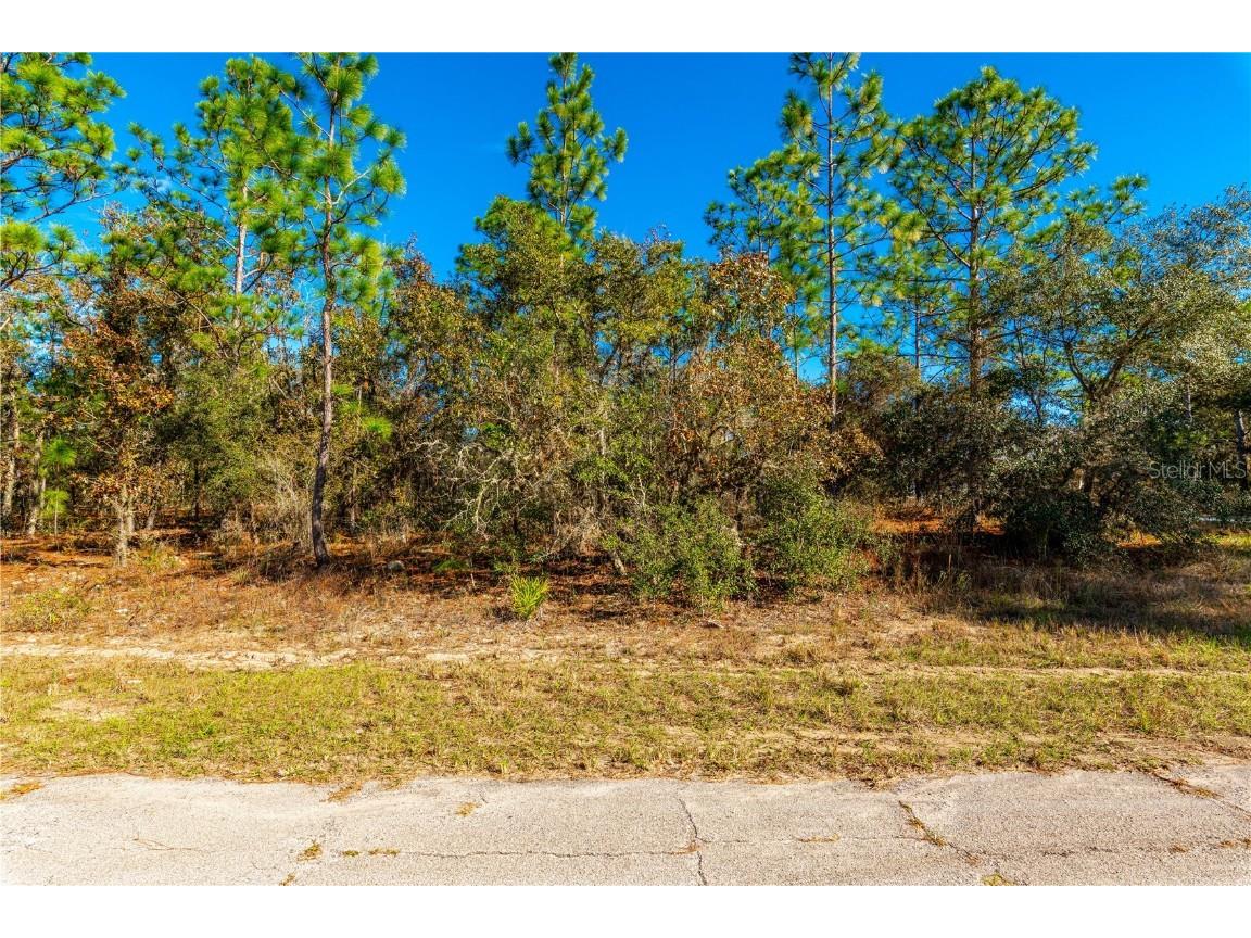 6672 N Tassel Terrace Citrus Springs FL 34433 T3418855 image1