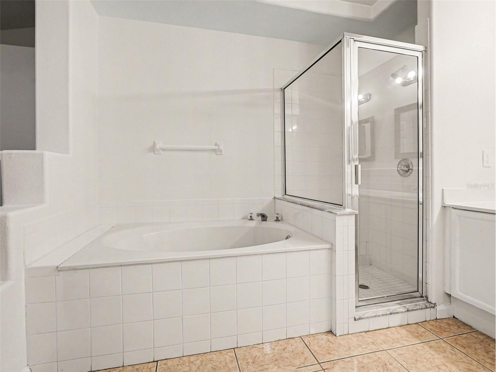 6673 Bouganvillea Crescent Drive Orlando FL 32809 O6388313 image24