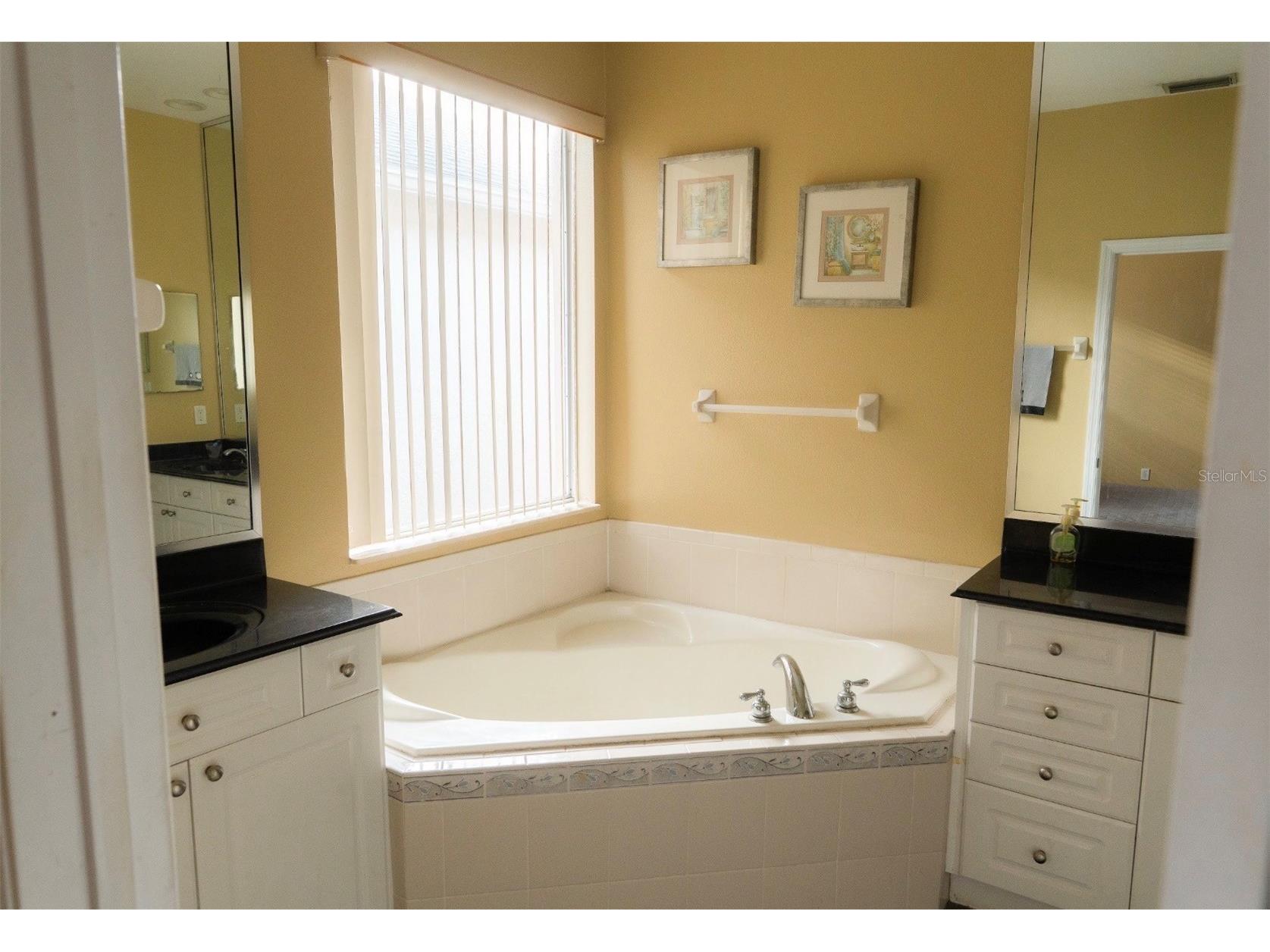 6673 Duncaster Street Windermere FL 34786 O6378820 image10