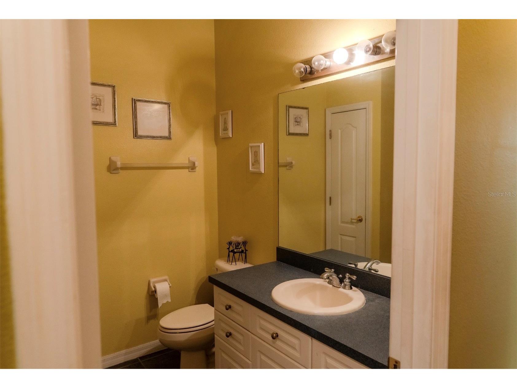 6673 Duncaster Street Windermere FL 34786 O6378820 image13