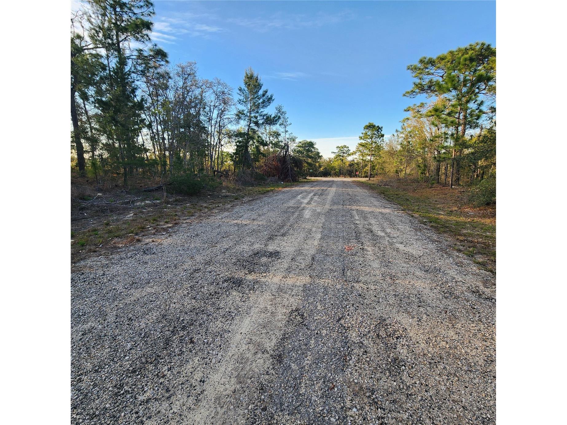 6673 N Libby Terrace Citrus Springs FL 34433 OM729174 image2