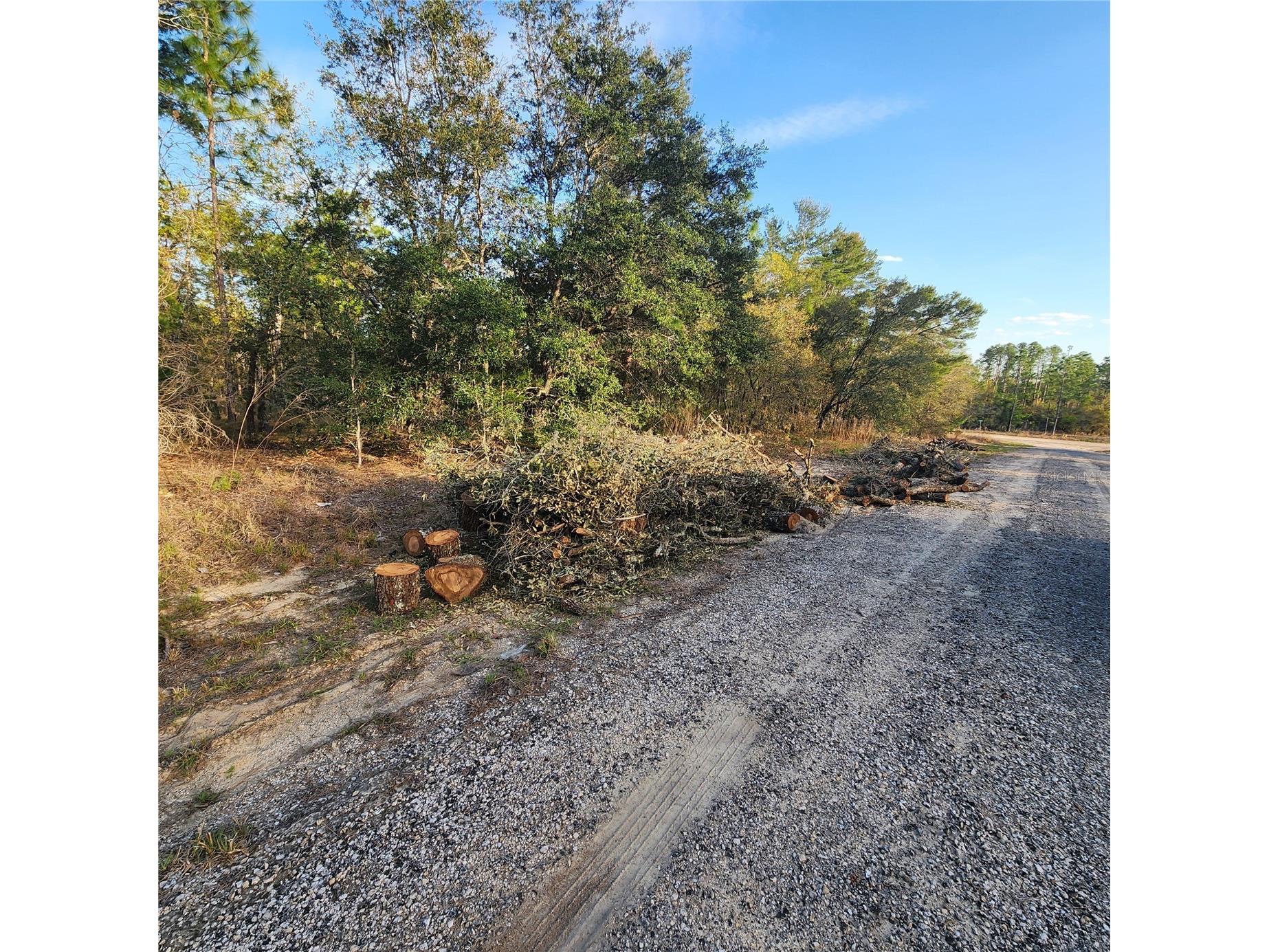 6673 N Libby Terrace Citrus Springs FL 34433 OM729174 image3