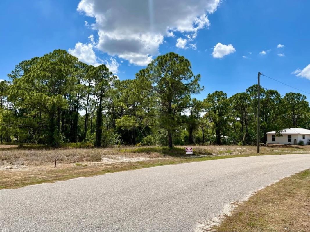 668 Lake Tina Drive Lake Placid FL 33852 A4683172 image1
