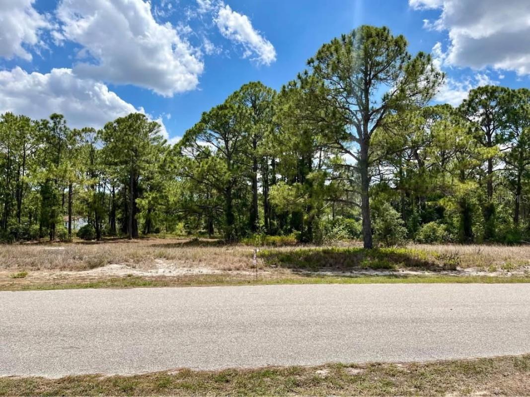 668 Lake Tina Drive Lake Placid FL 33852 A4683172 image2
