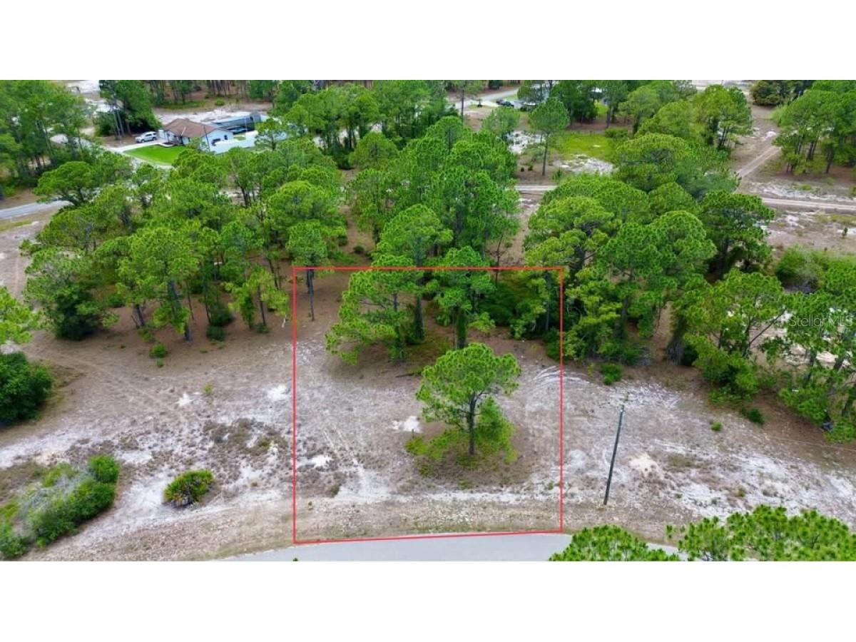 668 Lake Tina Drive Lake Placid FL 33852 A4683172 image3