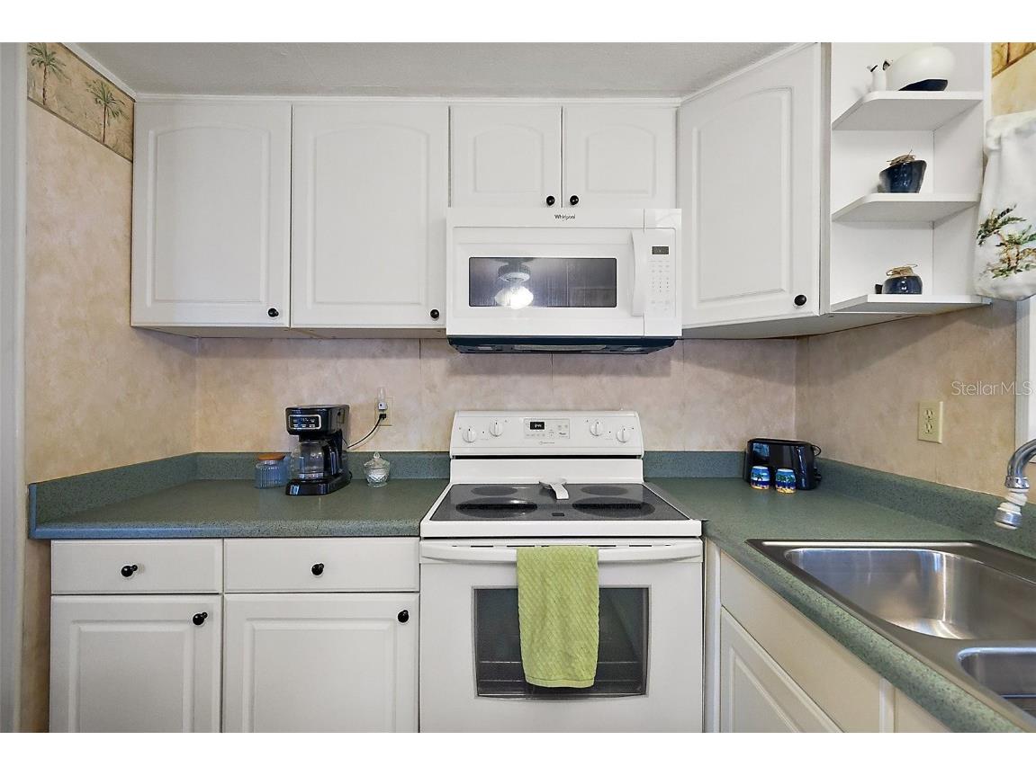 668 Lori Drive Leesburg FL 34788 G5094718 image7