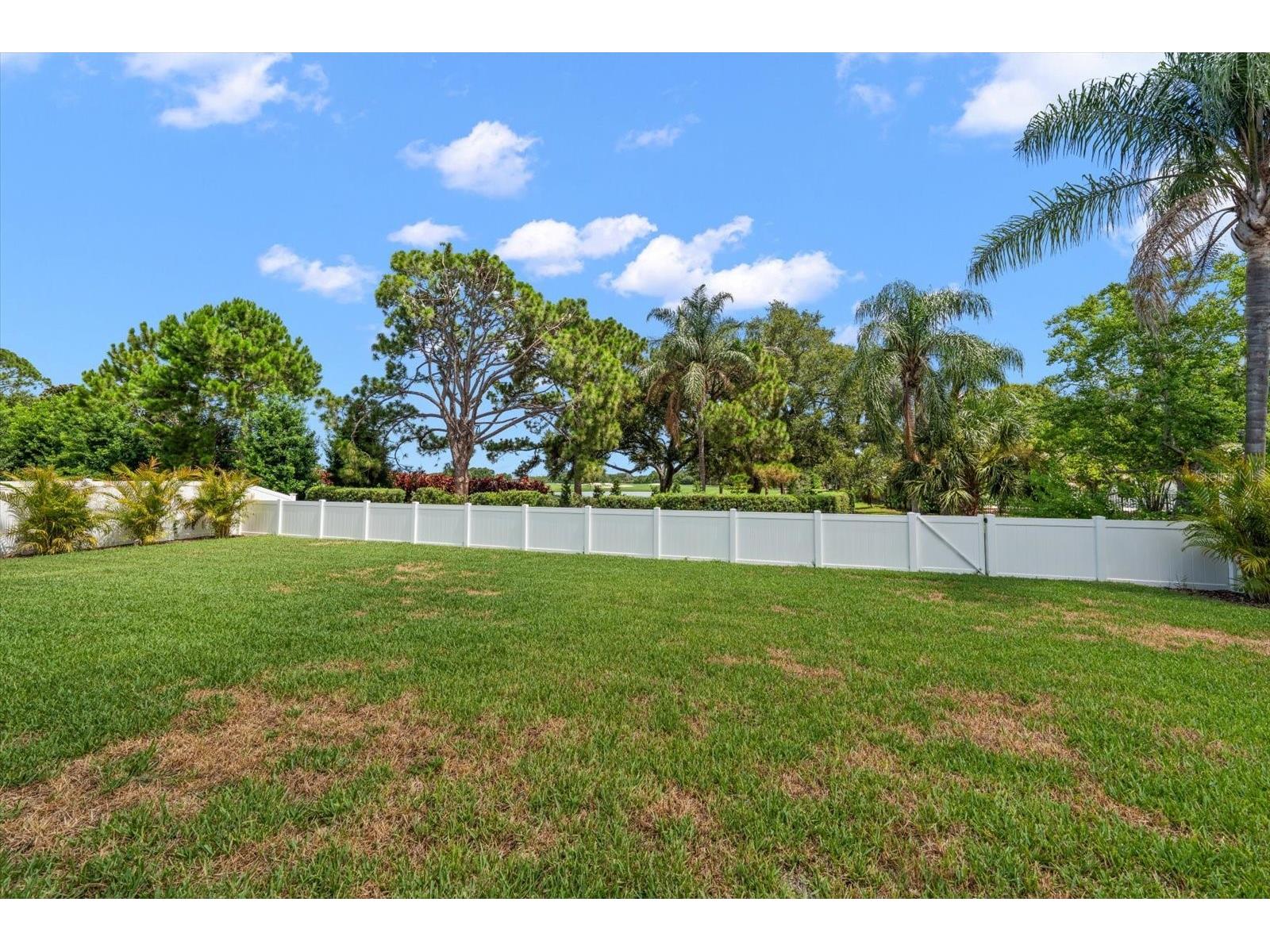 668 Mehlenbacher Road Belleair FL 33756 TB8527459 image54