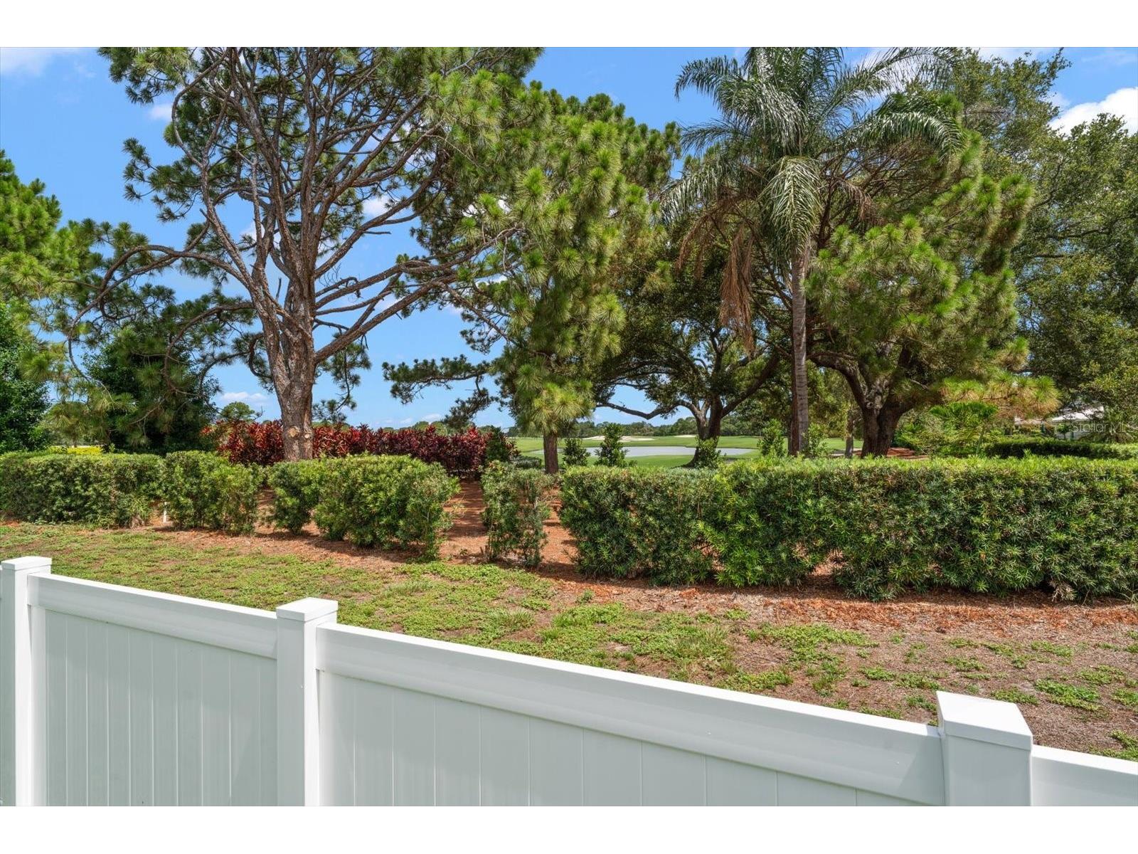 668 Mehlenbacher Road Belleair FL 33756 TB8527459 image56