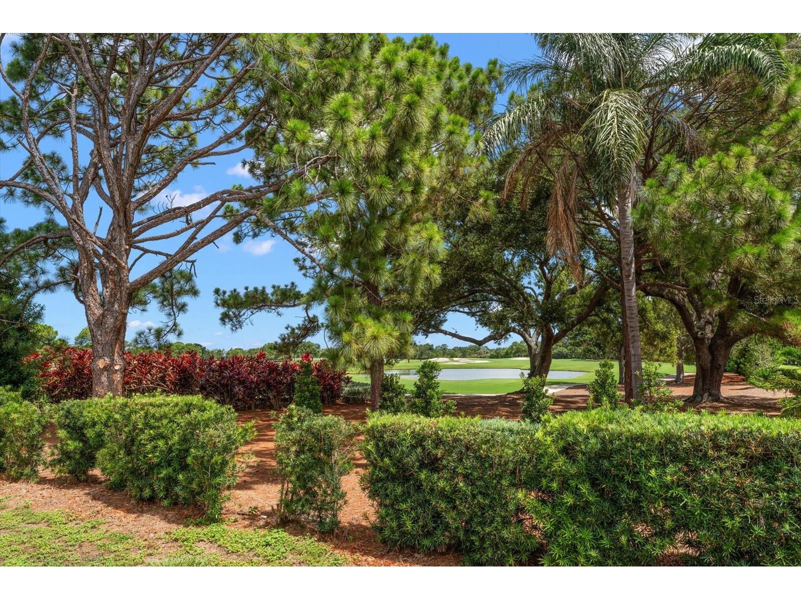 668 Mehlenbacher Road Belleair FL 33756 TB8527459 image63