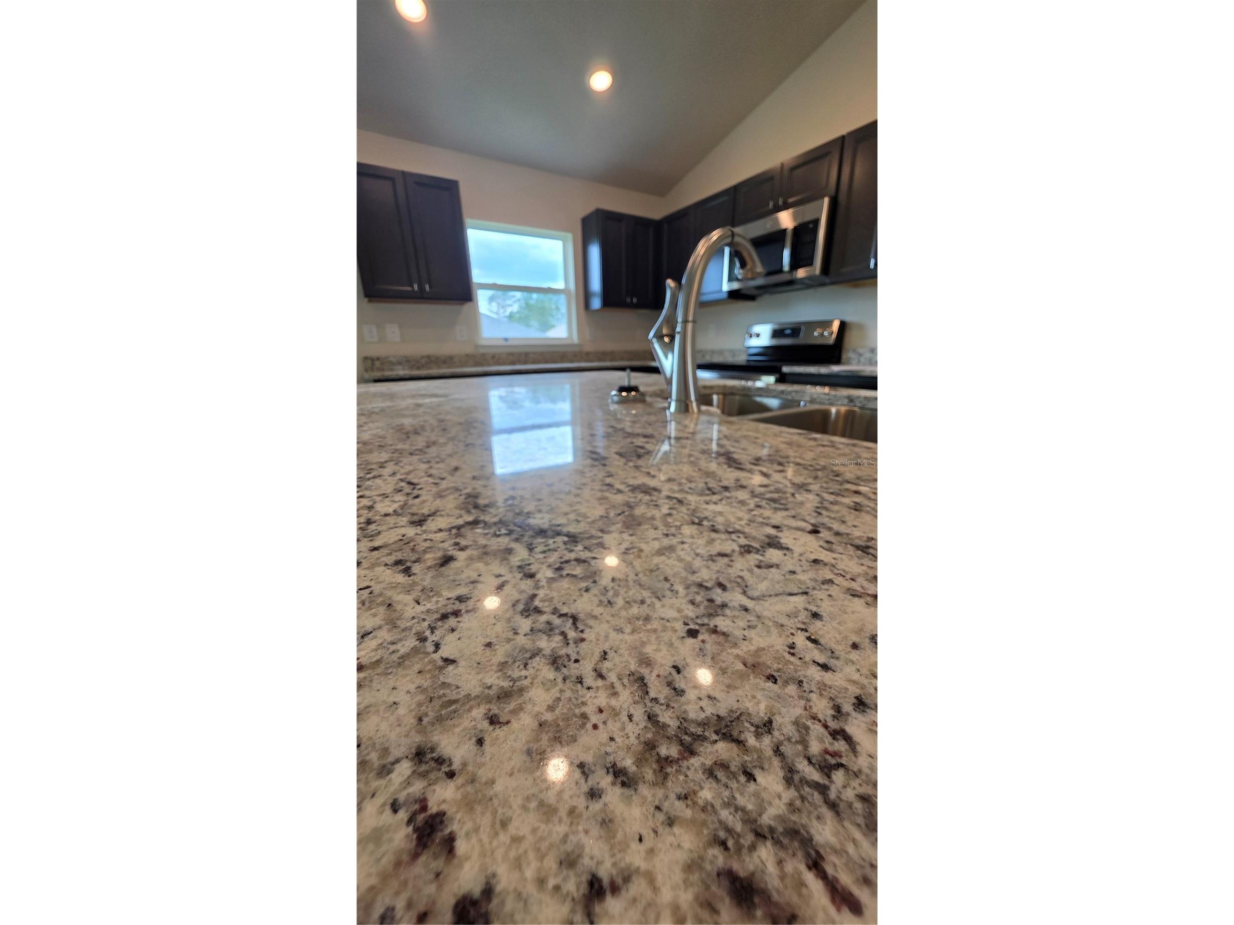 668 W Walkertown Drive Citrus Springs FL 34434 OM723627 image6