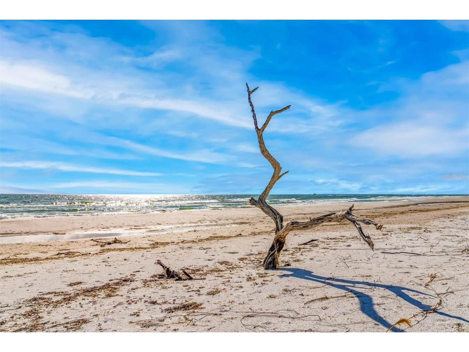 6680 Gulf Of Mexico Drive Longboat Key FL 34228 A4682193 image61