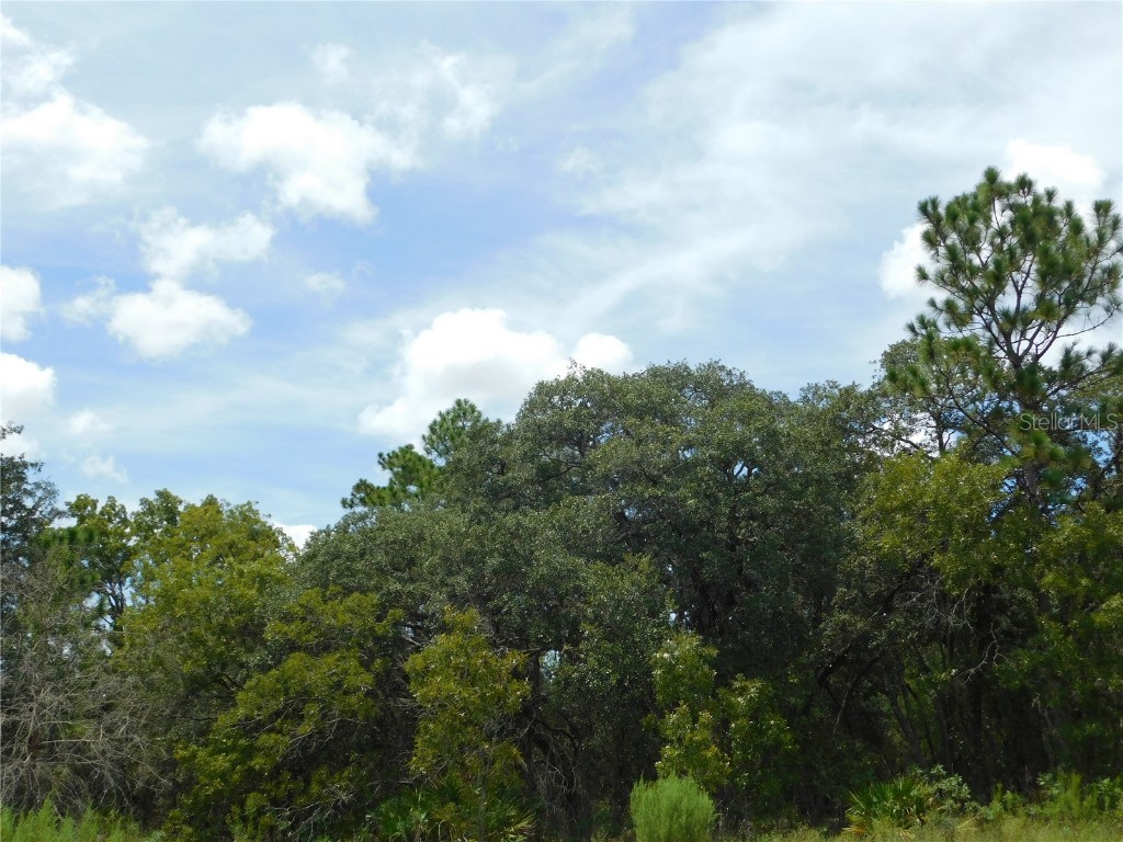 6681 N Bedstrow Boulevard Dunnellon FL 34434 W7878137 image2