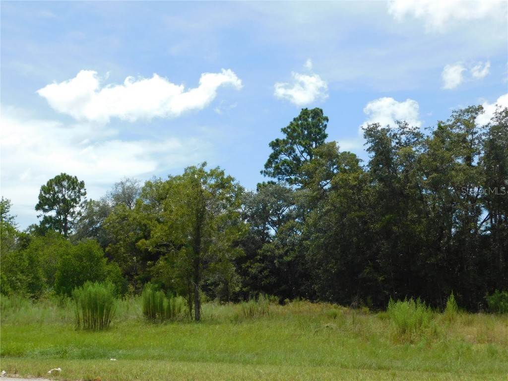 6681 N Bedstrow Boulevard Dunnellon FL 34434 W7878137 image3