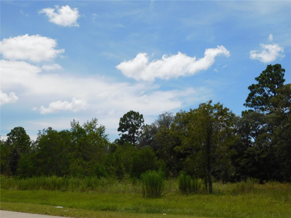 6681 N Bedstrow Boulevard Dunnellon FL 34434 W7878137 image4