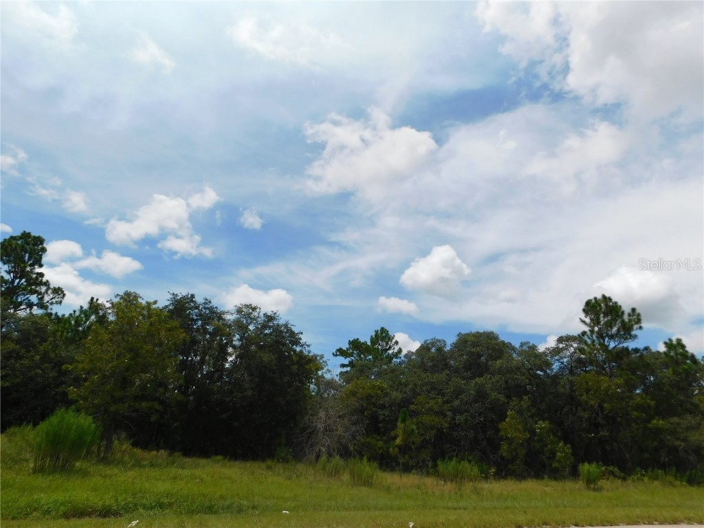 6683 N Bedstrow Boulevard Dunnellon FL 34434 W7878156 image2