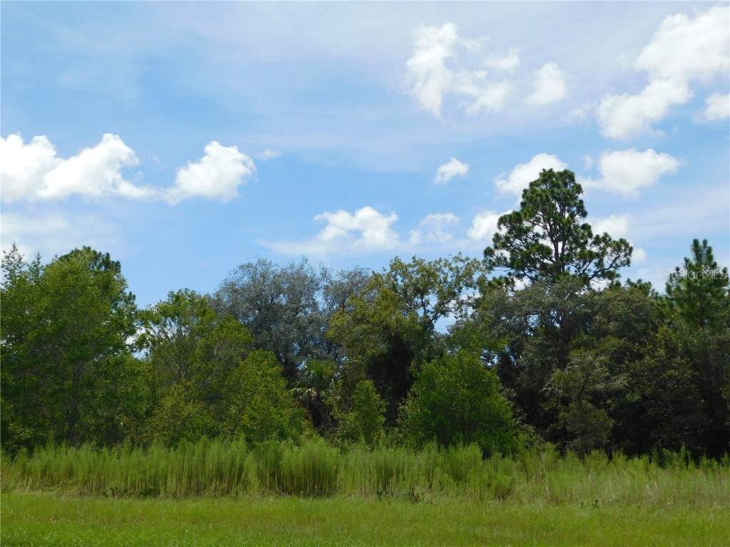 6683 N Bedstrow Boulevard Dunnellon FL 34434 W7878156 image4