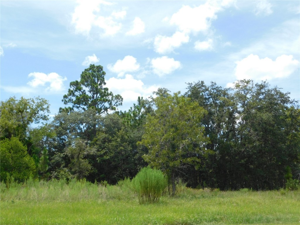 6683 N Bedstrow Boulevard Dunnellon FL 34434 W7878156 image5