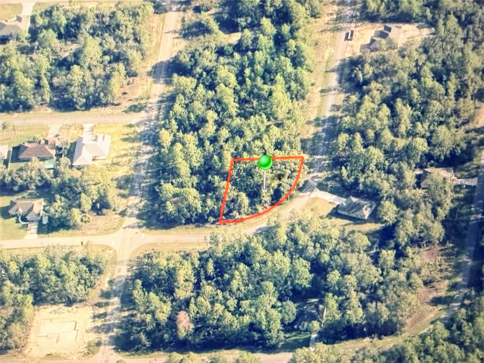 6684 N Waterman Drive Dunnellon FL 34433 OM718505 image2