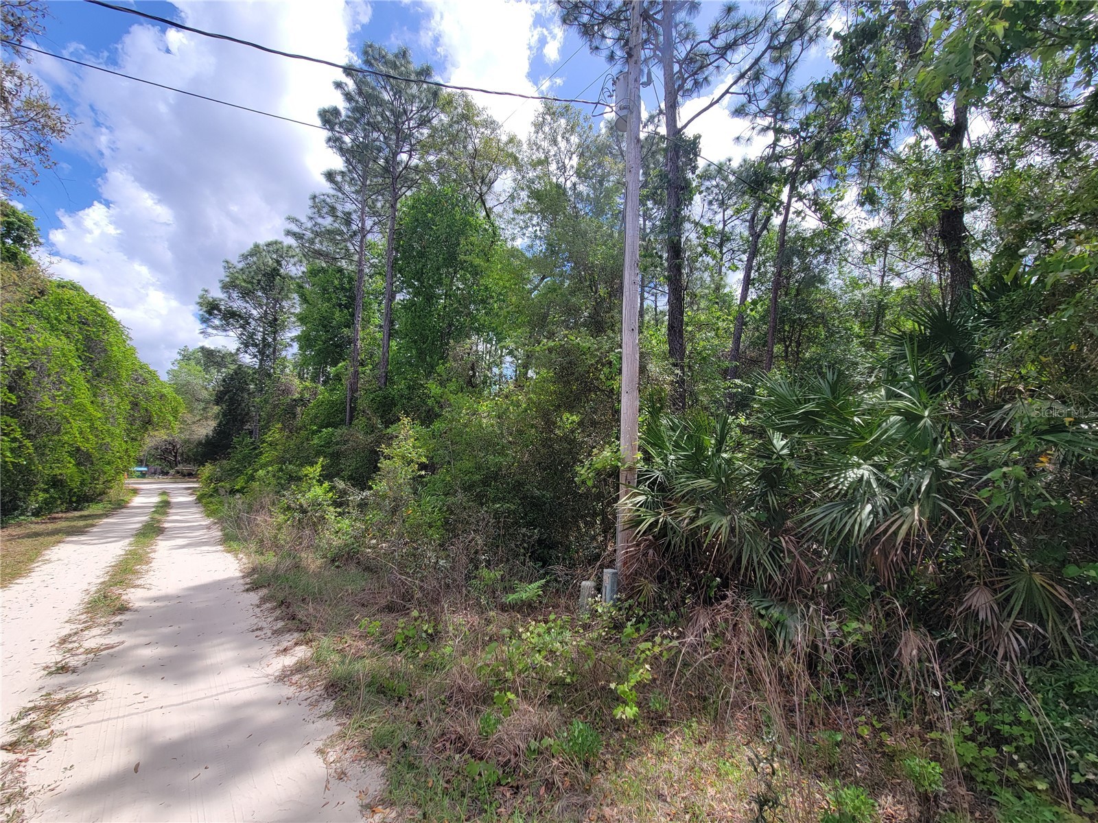 6685 W Euwell Court Crystal River FL 34429 A4688527 image2