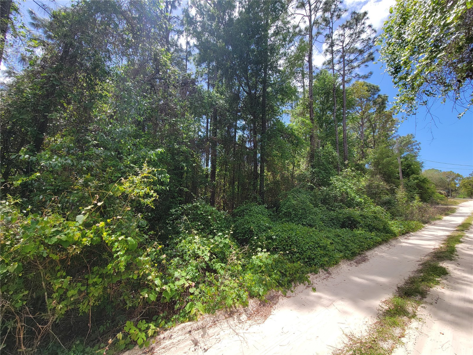 6685 W Euwell Court Crystal River FL 34429 A4688527 image3