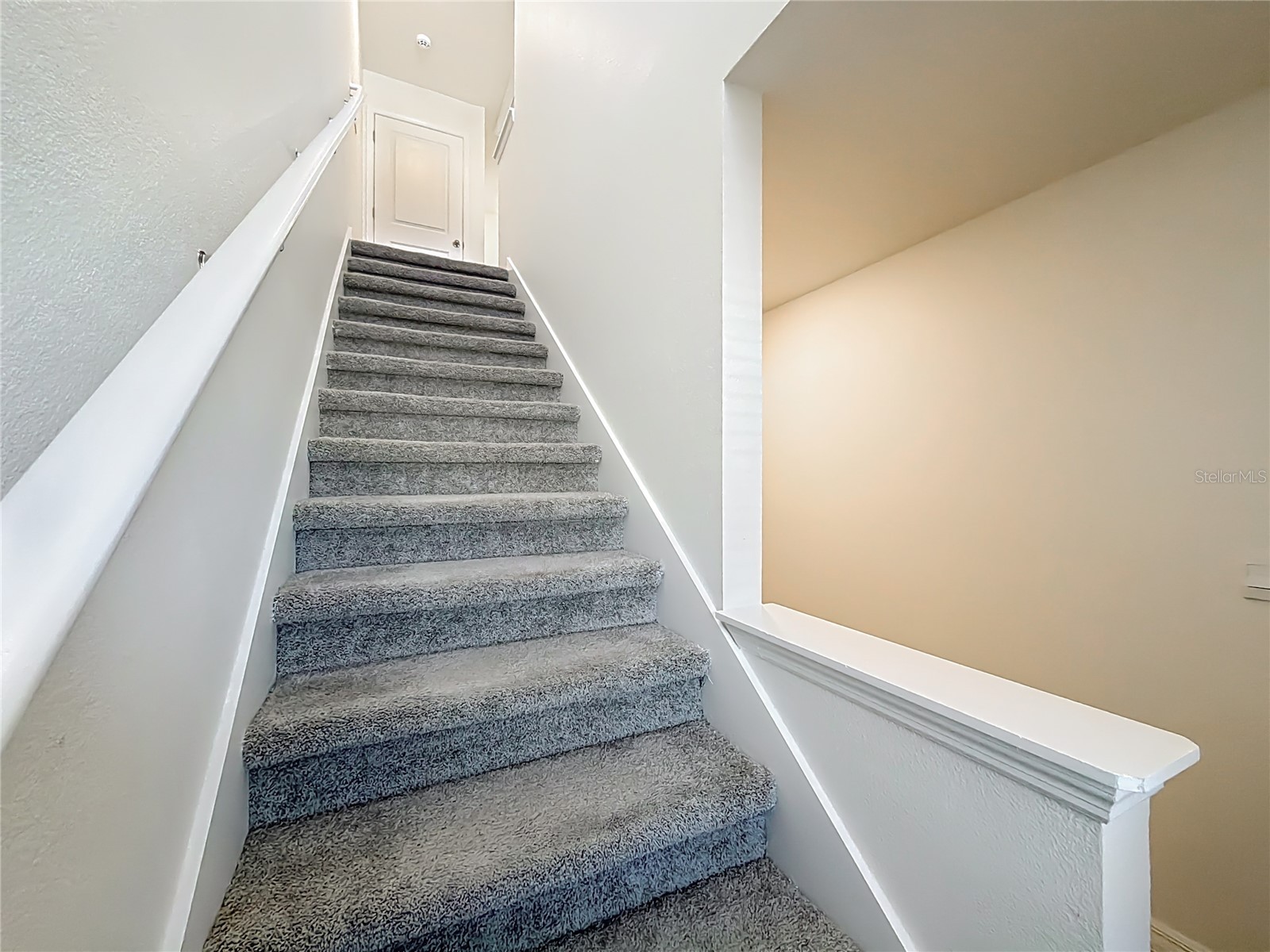 6687 SW 81st Loop Ocala FL 34476 O6376424 image22
