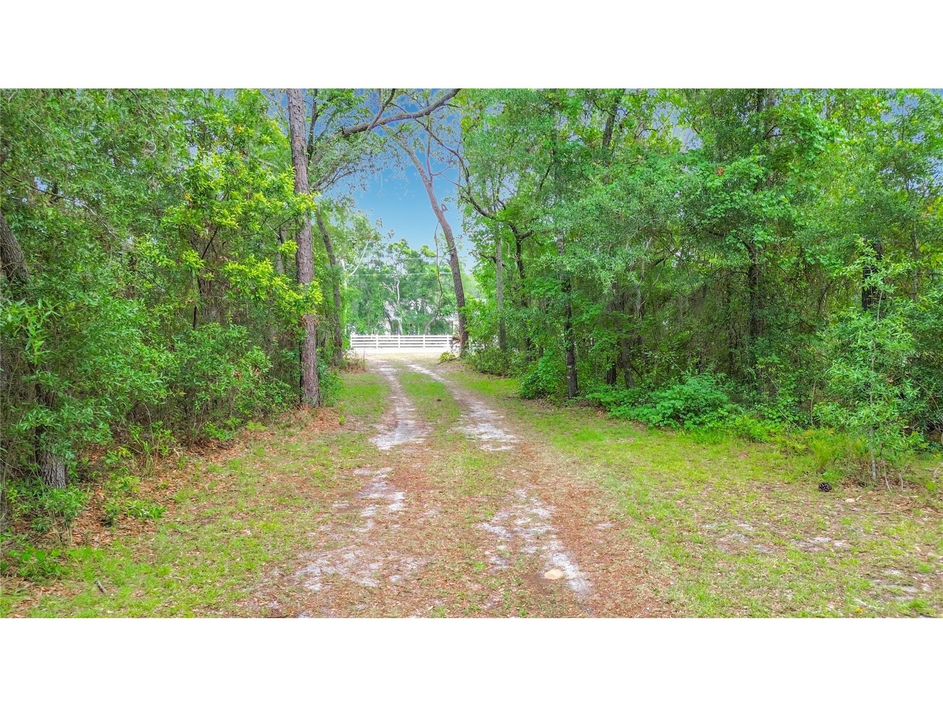 6687 W 7 Rivers Drive Crystal River FL 34429 TB8525422 image65