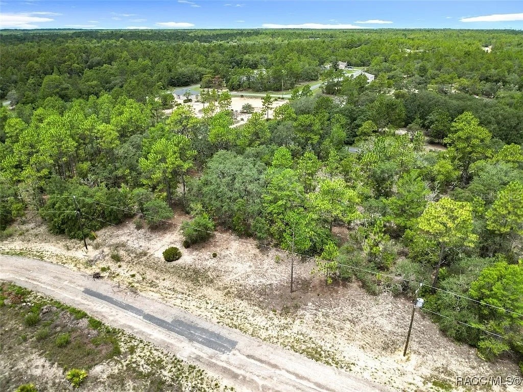 6688 N Sand Drive Dunnellon FL 34433 TB8498387 image2