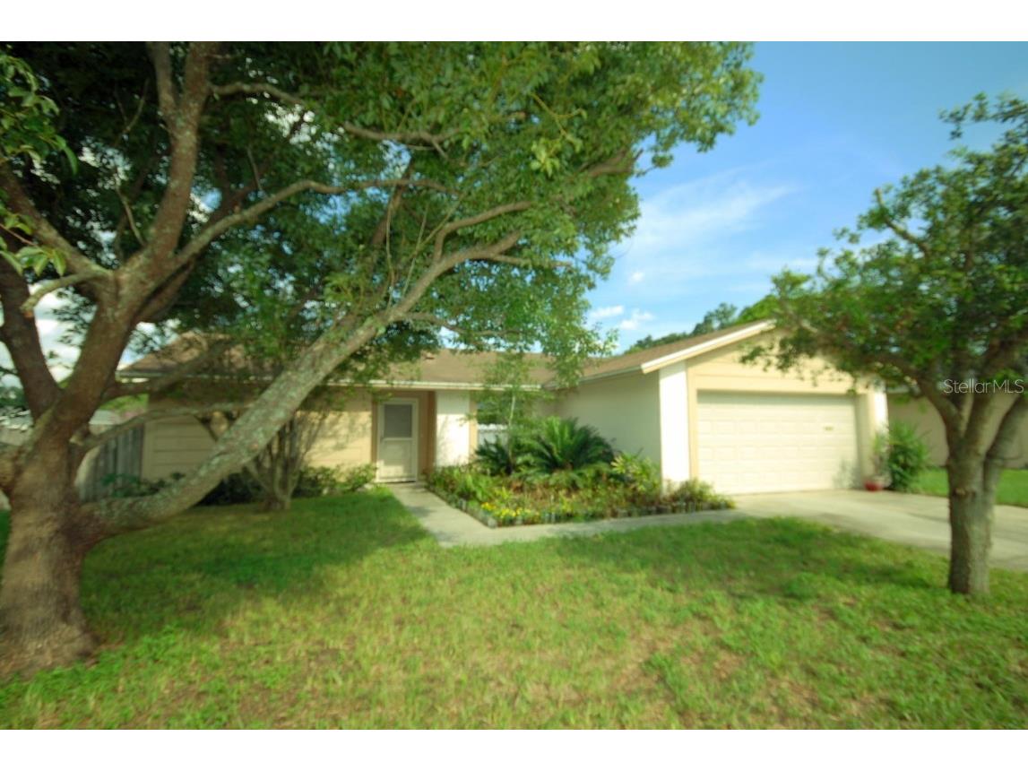 669 Bryan Terrace Drive Brandon FL 33511 TB8303917 image1