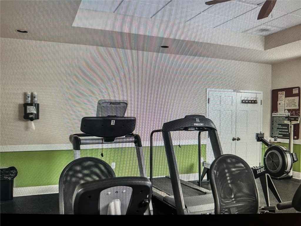 669 Eagle Run Lakeland FL 33809 L4956387 image34