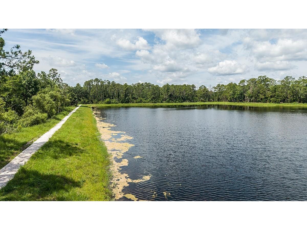 669 Junonia Boulevard New Smyrna Beach FL 32168 O6364378 image24