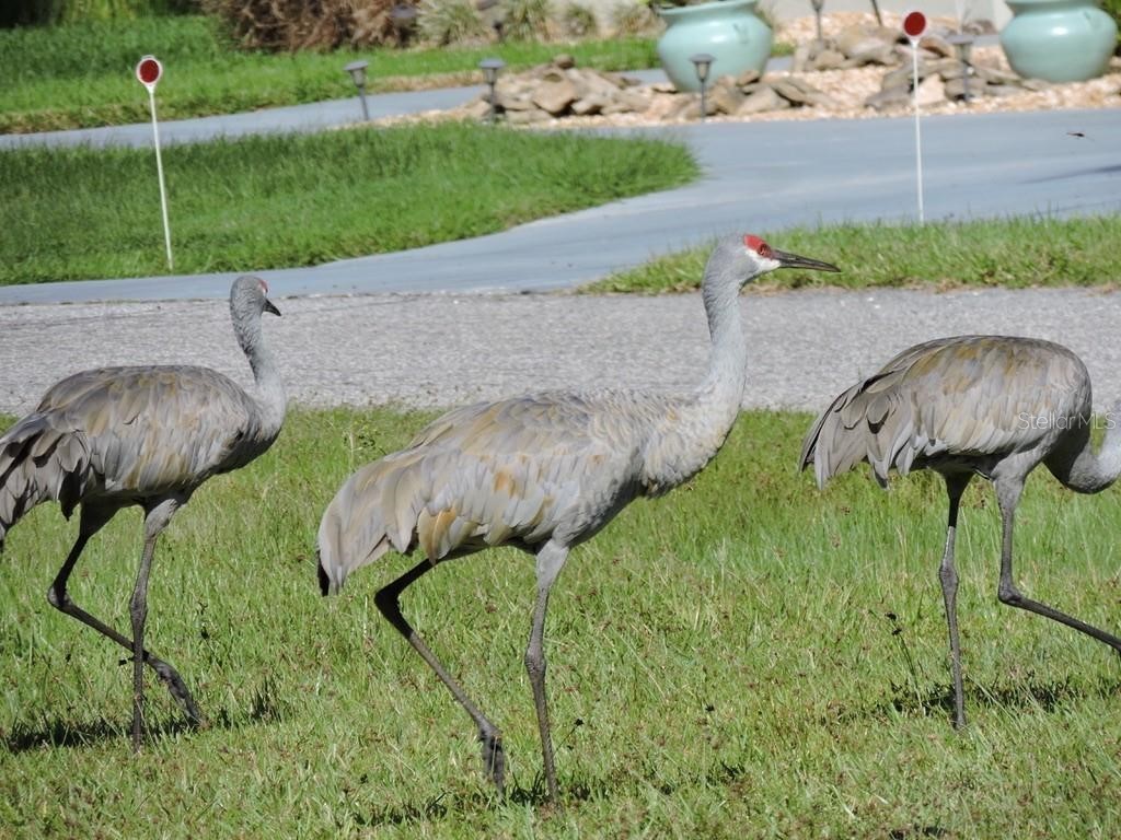 6691 Deland Avenue Indian Lake Estates FL 33855 O6343683 image11