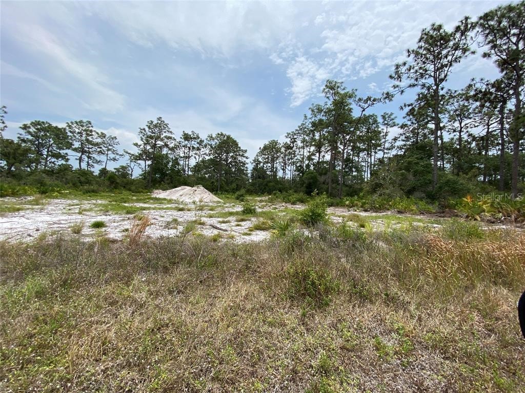 6691 Deland Avenue Indian Lake Estates FL 33855 O6343683 image5