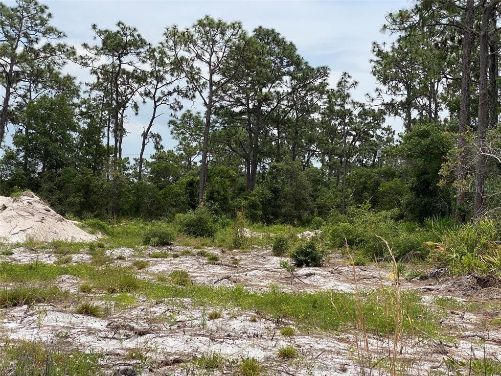 6691 Deland Avenue Indian Lake Estates FL 33855 O6343683 image6