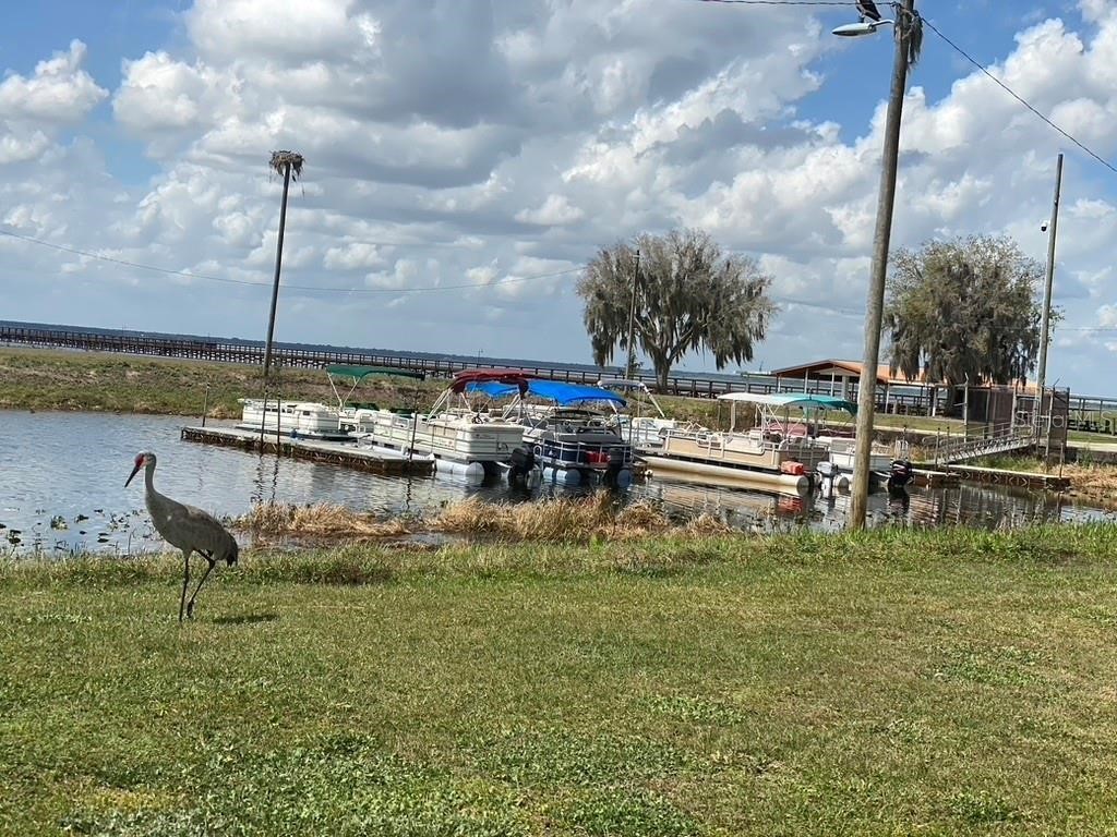 6691 Deland Avenue Indian Lake Estates FL 33855 O6343683 image8