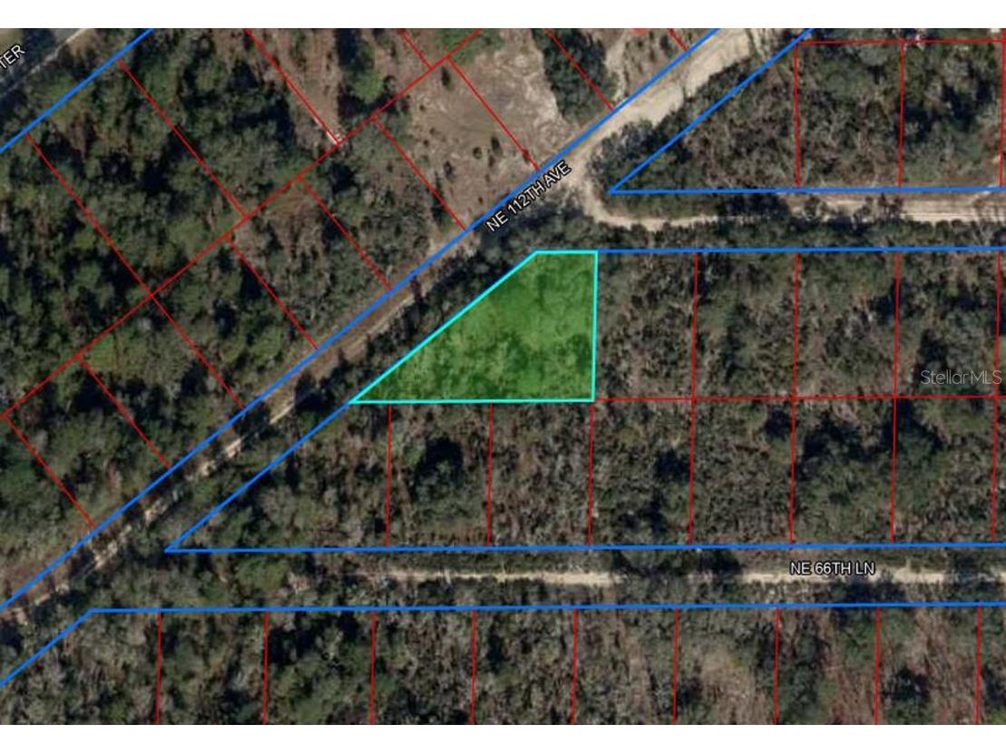 6691 NE 112th Avenue Williston FL 32696 OM669134 image2