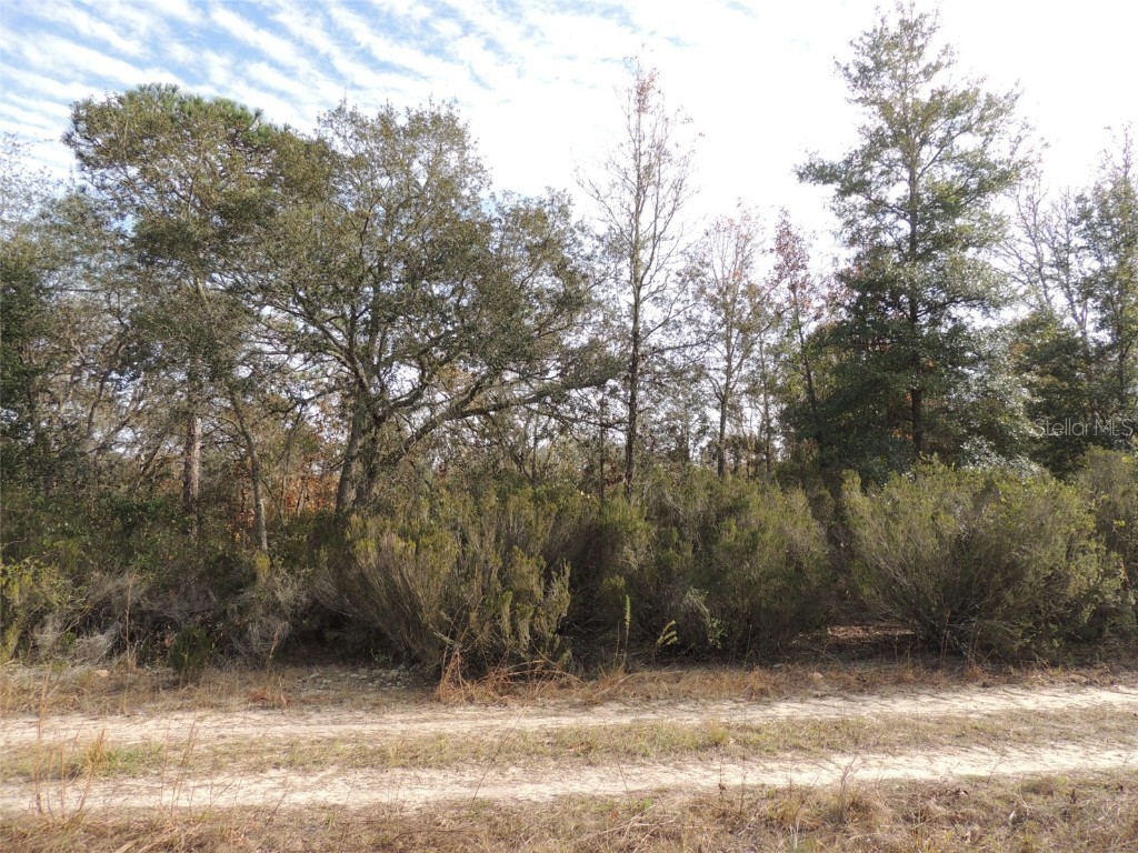 6691 NE 112th Avenue Williston FL 32696 OM669134 image3