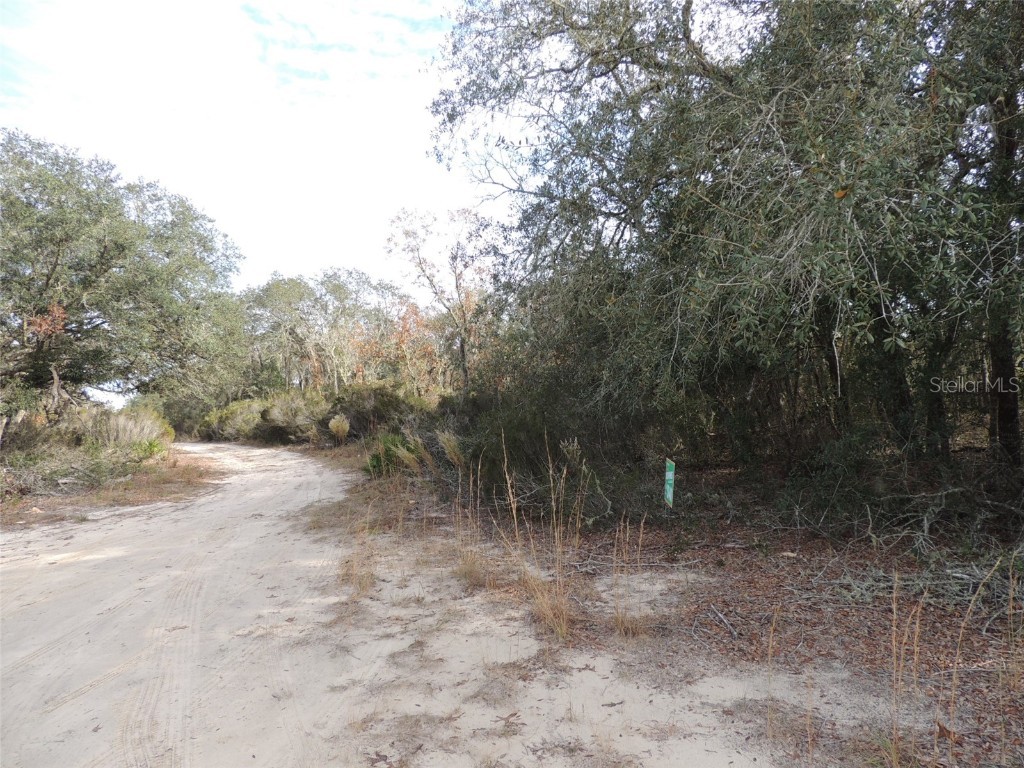 6691 NE 112th Avenue Williston FL 32696 OM669134 image4