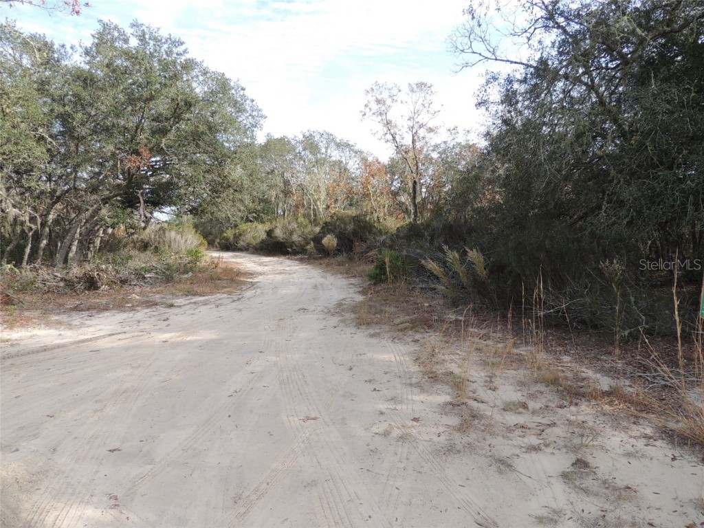 6691 NE 112th Avenue Williston FL 32696 OM669134 image5